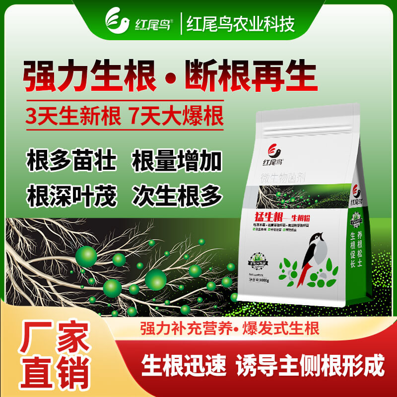 猛生根-生根粉 3天生新根 7天大爆根 養(yǎng)根壯苗 預防根腐【掃描頁面最下方二維碼可直接購買】