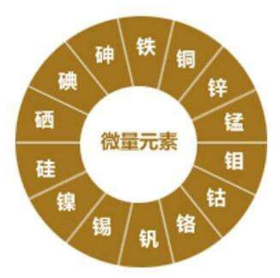 作物生長(zhǎng)需要哪些養(yǎng)料？紅尾鳥農(nóng)業(yè)告訴你！
