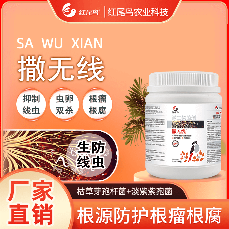 紅尾鳥(niǎo)撒無(wú)線(xiàn) 抑制線(xiàn)蟲(chóng) 蟲(chóng)卵通殺 根源防護(hù) 根瘤根腐 枯草芽孢桿菌+淡紫紫孢菌【掃描頁(yè)面下方二維碼可直接購(gòu)買(mǎi)】