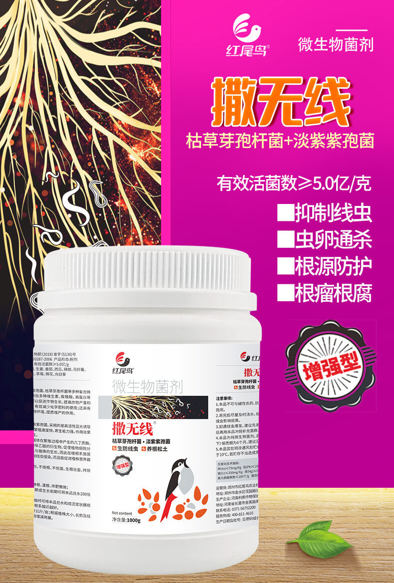 紅尾鳥(niǎo)撒無(wú)線(xiàn)微生物菌劑，有效抑制線(xiàn)蟲(chóng)