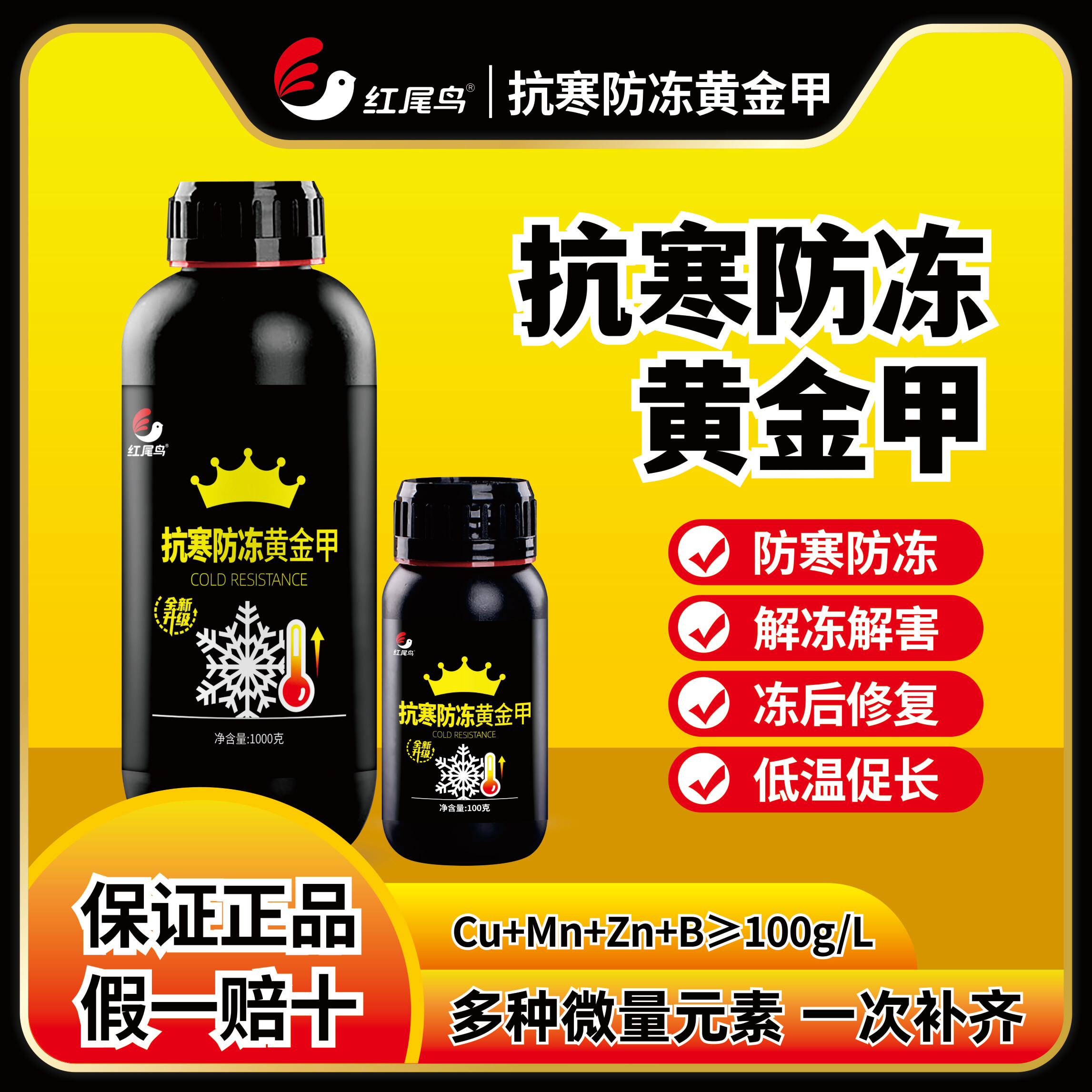 提前噴一噴，過冬更安全–紅尾鳥抗寒防凍黃金甲