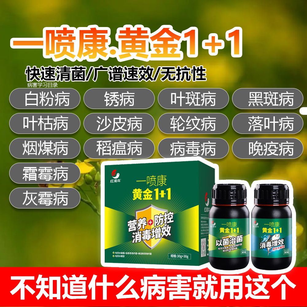 一噴康1+1細(xì)菌真菌滅殺劑免耕生物肥料微生物有機(jī)肥農(nóng)用微生物肥