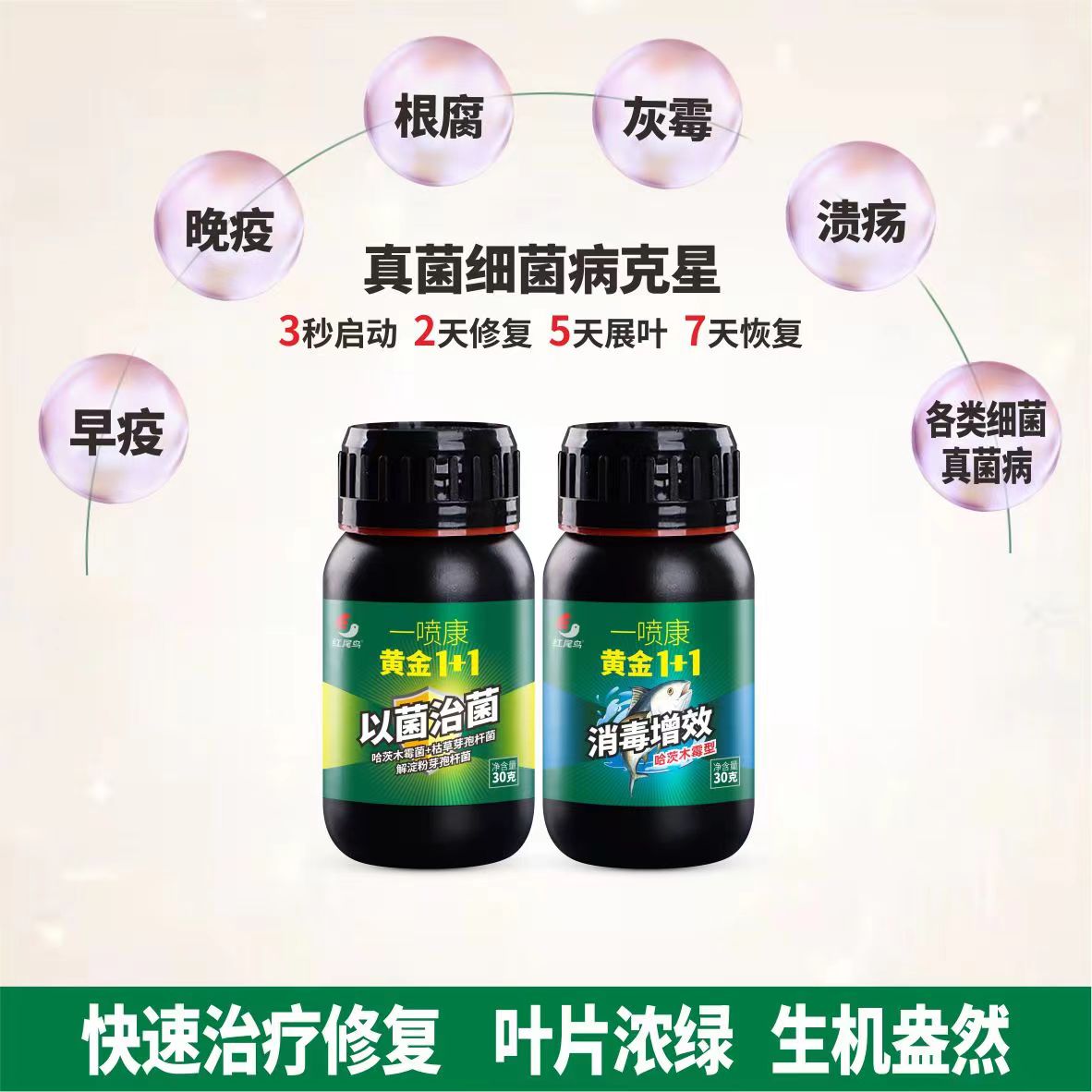 一噴康1+1細(xì)菌真菌滅殺劑免耕生物肥料微生物有機(jī)肥農(nóng)用微生物肥